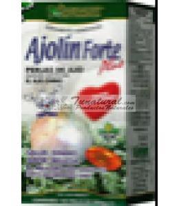 AJOLIN FORTE 500MG 100 CAPS