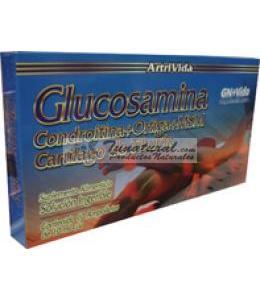 GLUCOSAMIN CONDROI+ORT AMP. 10 ML.