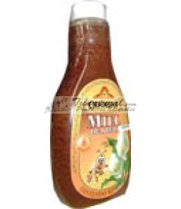 MIEL DE ABEJA ODONAJI 500 G