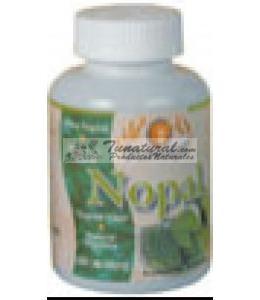 NOPAL 300 TABLETAS