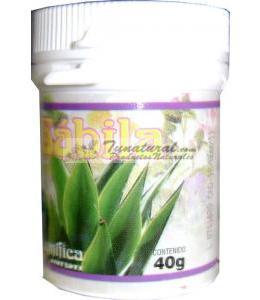 POMADA MAGNIFICA DE SABILA 40 G