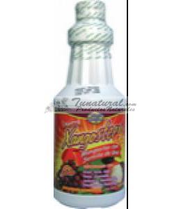 XANGOSTEEN PLUS 500 ML