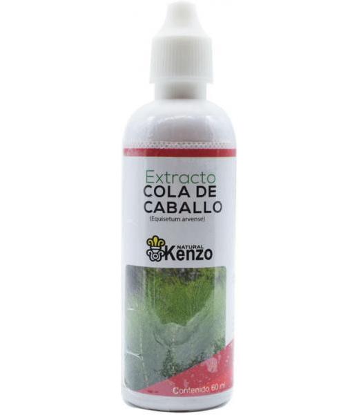 AGUA DE ALOE VERA 250 ML JALOMA