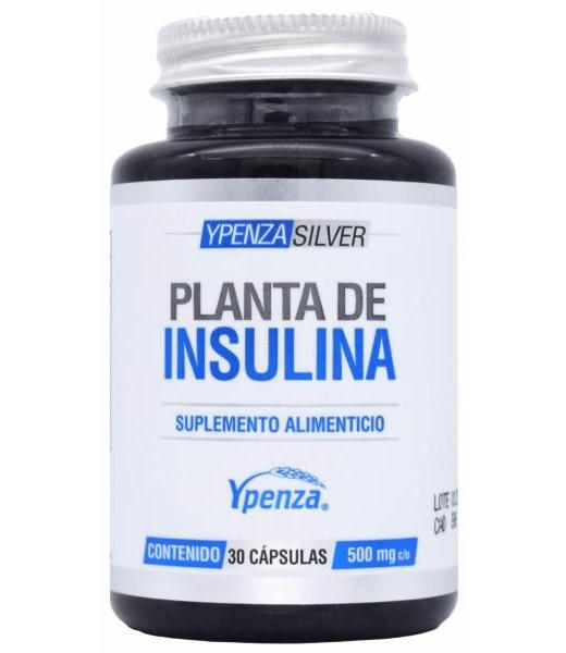 PLANTA DE INSULINA 30 CAP YPENZA SILVER