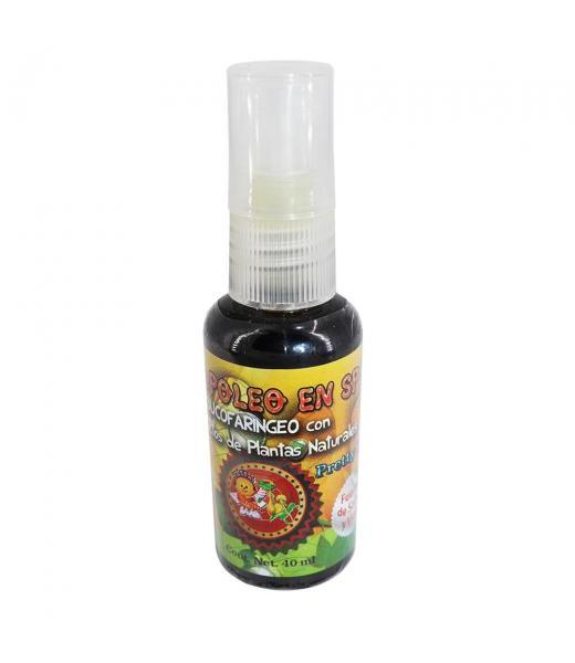 TBS. LACTOBACILOS C INULINA C 60 EDAFER NATURA
