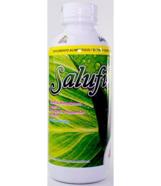 CAPS. GINKGO BILOBA LINGNUM C 30 SALUD NATURAL