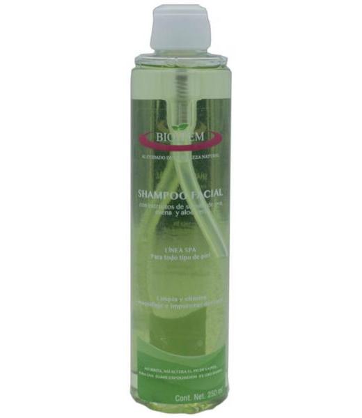 MIEL DE ABEJA 560 ML CANASTA VERDE