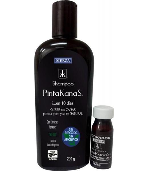 LOEV SAVILA JENGIBRE HINOJO 1 L SALUD NATURAL